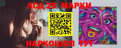 apvp Пушкино